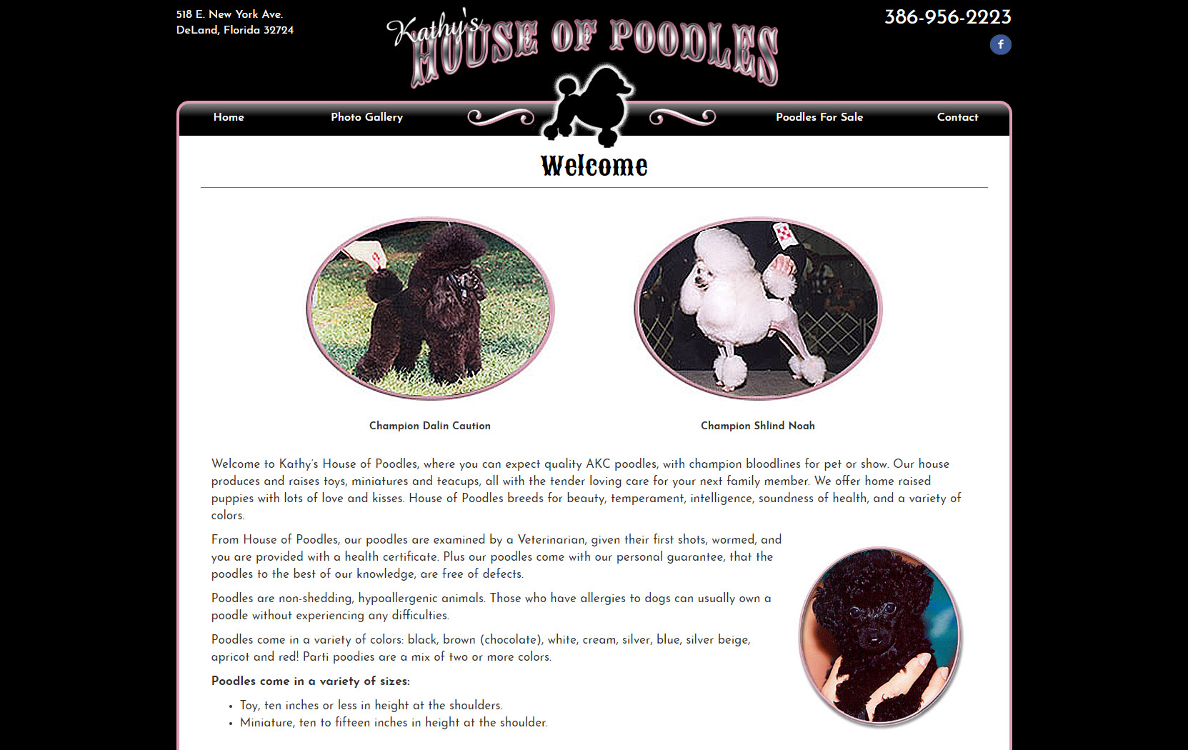 Kathy's House of Poodles